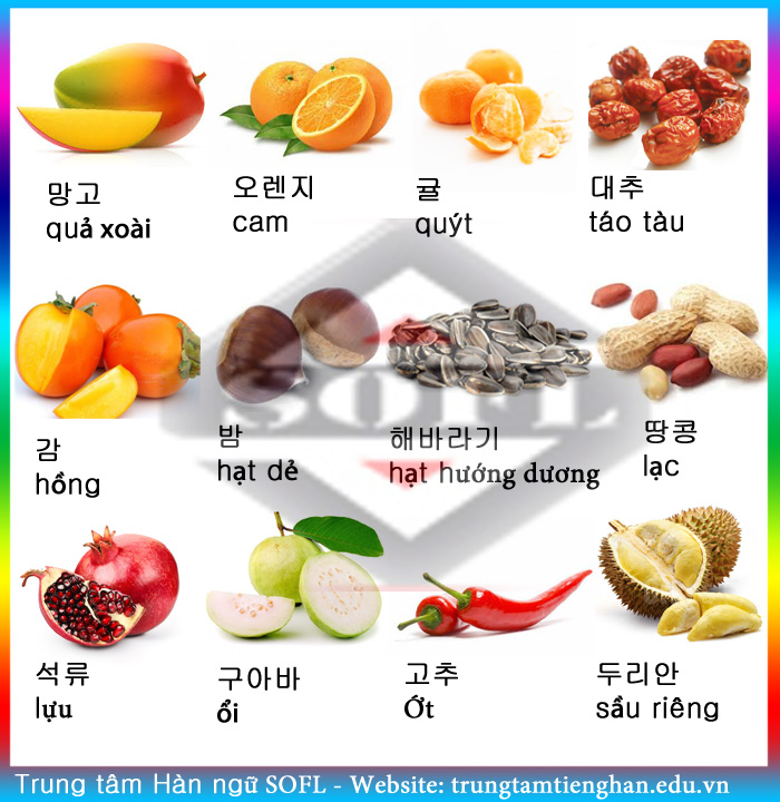 Từ vựng tiếng Hàn về hoa quả