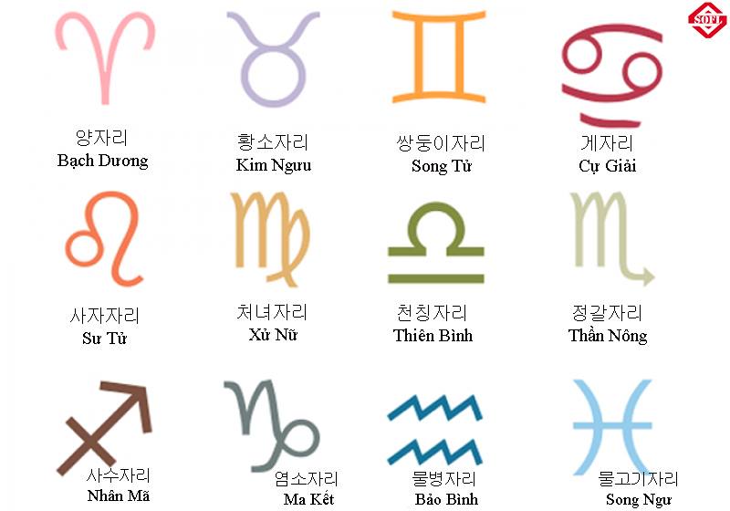 Học từ vựng 12 cung hoàng đạo tiếng Hàn và quan niệm về con số